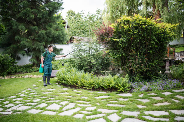 Best Residential Pest Control  in Cornwall On Hudson, NY