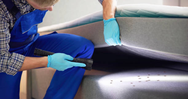 Reliable Cornwall On Hudson, NY Pest Control Solutions